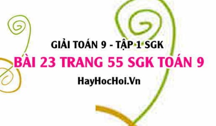 Giải bài 23 trang 55 SGK Toán 9 tập 1